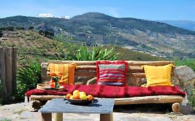 Hostal Cortijo Los Maximos